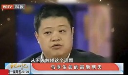 马东爆料爸爸视频播放,爸爸视频播放背后的故事